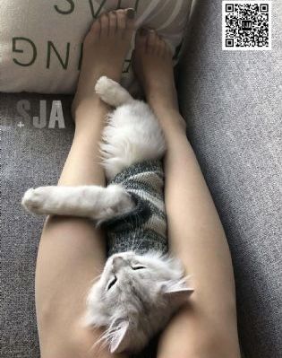 欧美日韩青色_BD在线视频播放